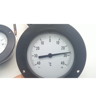 Termómetro Capilar de PVC de -40~+40C y 100mm para Aire Acondicionado, Refrigeración y Calderas