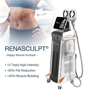 2024 El más nuevo 4 5 Mango EMShape RF EMT Ems Máquina para esculpir Precio Adelgazante Emsssculpt