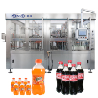 Solution rentable pour les petites entreprises : machine à boissons entièrement automatique (500-1500 BPH) pour bouteilles en plastique, économie d'énergie, usine