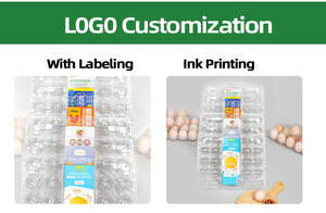 En Çok Satan 24 Bölmeli, İstiflenebilir, Dayanıklı Renkli Plastik Yumurta Kutuları Plastik Yumurta Tepsisi - Product Image 6