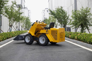 Dari produsen silinder ganda pemecah hidrolik selip Steer kualitas tinggi Euro V Crawler taman <span class=keywords><strong>Skid</strong></span> Steer Loader - Product Image 6