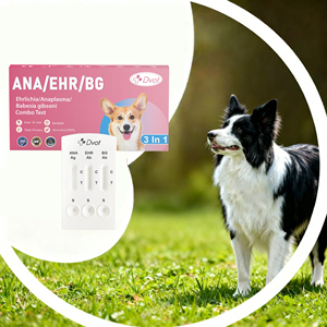 Ventes de soins de santé pour animaux de compagnie Kit de <span class=keywords><strong>test</strong></span> vétérinaire ANA/EHR/BG Ehrlichia/Anaplasma/Babesia Gibsoni Combo <span class=keywords><strong>Test</strong></span> Kit de <span class=keywords><strong>test</strong></span> rapide combiné - Product Image 1