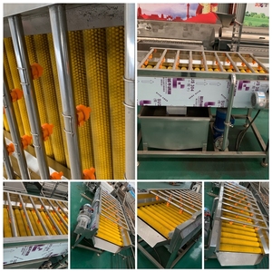 Nueva máquina duradera y de fácil operación para lavar y pelar frutas, verduras y jengibre, ideal para mayoristas. - Product Image 2