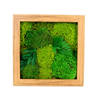 Cadre Mural d'Art en Vraie Mousse Naturelle 3D, Décoration de Bureau Personnalisée Prête à l'Emploi, Mousse de Renne Stabilisée et Préservée en Gros