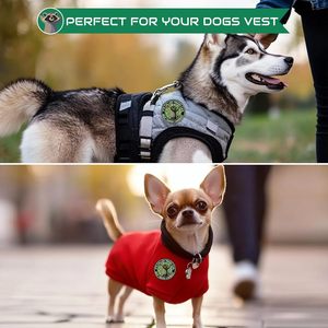 It's Called Trash Can Not Trash Cannot Patch 3 Inch Round Embroidered Funny <b>Animal</b> Applique For Bags - Product Image 6