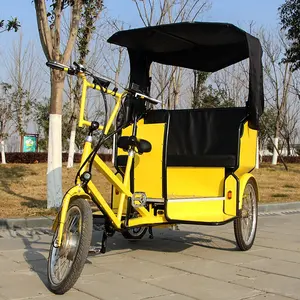 Hot Selling Tuk Tuk Cargo Trike Elektrisches Dreirad-Chassis für Erwachsene mit Kabine