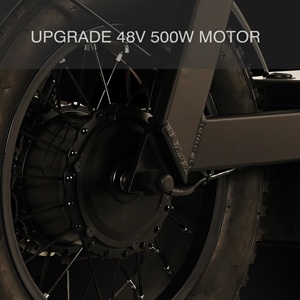 A basso costo <span class=keywords><strong>bici</strong></span> <span class=keywords><strong>elettrica</strong></span> <span class=keywords><strong>cargo</strong></span> 48 v500w doppia batteria Li - Product Image 5