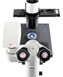 Le <span class=keywords><strong>microscope</strong></span> inversé Leica DMIL LED présente des composants optiques haute performance et une conception ergonomique. - Product Image 3