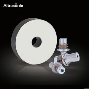 Ultrasonic Pizeoceramic Supplier Customized Ultrasonic Piezoelectric Ceramic Piezo Disc For Transducer