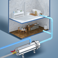 Machine de purification d'eau par ultrafiltration lavable en PVDF, usage industriel, système de filtration d'eau en acier inoxydable 304 UF 1000L