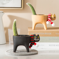 Pot collecteur de jardin Succulent avec égouttage, pratique pour les chats, pour le jardinage, en céramique, pour Cactus