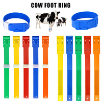 Berbagai ukuran tali kaki sapi dapat disesuaikan warna-warni pita kaki ternak cincin Tag sabuk leher kambing domba