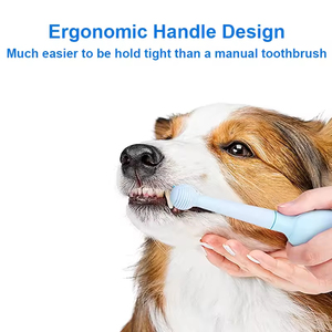 2025 OEM personnalisé nouveauté <span class=keywords><strong>brosse</strong></span> à dents électrique <span class=keywords><strong>pour</strong></span> animaux de compagnie <span class=keywords><strong>pour</strong></span> chats IPX7 étanche blanchiment des dents à poils souples - Product Image 3
