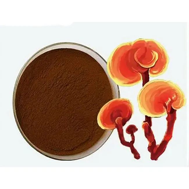 Pure Natural Reishi Mushroom Ganoderma Lucidum Extract Powder UV 95% 80