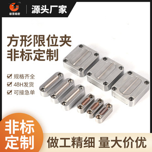 Mold Sliding Block Retainer Square Latch Limit <b>Clamp</b> Metric Non Adjustable SUJ2 Material Molding Mold Accessories - Product Image 4