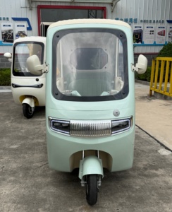 Tricycle électrique économique Surrit Best Seller, silencieux, pour personnes âgées, idéal pour les sorties en extérieur. - Product Image 1
