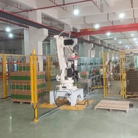 Boyang industria robot brazo pinza cartón paletizado brazos robóticos para elevación