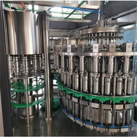 Pulpa de jugo Botella de PET 3 en 1 Planta de llenado de jugo de fruta concentrada