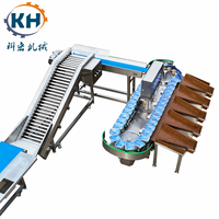 Kehong PLC Automatische Weeg- en Sorteermachine voor Fruitverwerkingsbedrijven, Vers Fruit en Groenten, Aangepast Model met 3-18 Sorteerniveaus