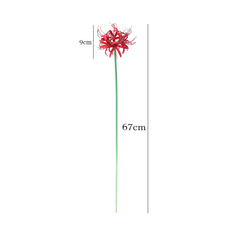 Hauteur totale 67 cm 9 cm de largeur
