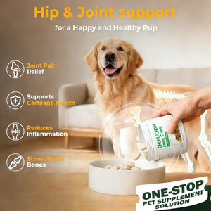 תוסף תזונה לחיות מחמד עם MSM לתמיכה בבריאות המפרקים והירכיים, טבליות למפרקי כלבים לכל הגזעים - דוגמית חינם - Product Image 2