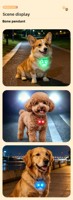 Pendentif lumineux LED à clipser pour animaux de compagnie, en plastique, avec motif imprimé, 3 modes d'éclairage, collier lumineux anti-perte pour promenade nocturne