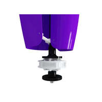 Puissance silencieuse de turbine d'axe vertical de fleur de tulipe de vent pour la maison 200W 500W 800W 12V 24V 48V système de générateur d'énergie d'air hors réseau