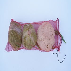 Bán cũng loại mới PP dệt túi lưới gia cố bao bì củi giá rẻ túi lưới - Product Image 3