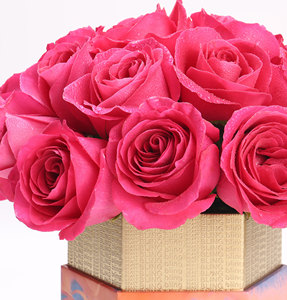 Vendita calda Floyd Rose Rose fiori freschi recisi fiori freschi per il commercio all'ingrosso freschi recisi fiori - Product Image 5