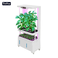 Unidad de Agricultura Inteligente sin Suelo para el Hogar con Pantalla Digital que Muestra la Temperatura y Humedad en Tiempo Real
