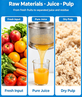 Extracteur de jus industriel économique à vis, moteur haute performance pour fruits et légumes, rendement élevé en jus, réduit les coûts de production globaux