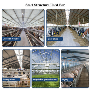 Ware house installation rapide de structures en acier construction en acier léger préfabriqué maisons pour poulets de chair vache chèvre hangars pour porcs - Product Image 3