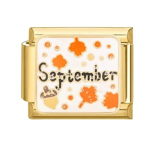 Nueva pulsera de módulo italiano de acero inoxidable con chapado en oro de 18 quilates, regalo de cumpleaños y aniversario a la moda, accesorios de soldadura DIY - Product Image 5