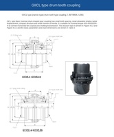 Accouplement de transmission à bride en acier, tambour d'arbre flexible OEM, trempage haute fréquence, usage industriel, forte capacité de charge