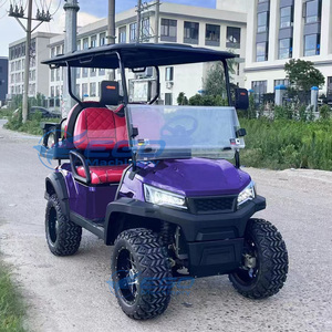Carrito de golf eléctrico de lujo personalizado al por mayor, estilo Drive Style, para turismo, con batería de litio, transporte especial - Product Image 6