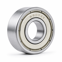 6900ZZ Bantalan Bola Alur Dalam Presisi P0 C0 Clearance 10x22x6mm Baja Krom ZZ Berpelindung Logam untuk Motor