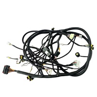Harness Kabel OEM/ODM yang Dapat Disesuaikan untuk Mobil Golf Listrik & Otomotif dengan Isolasi PBT - Produsen Profesional