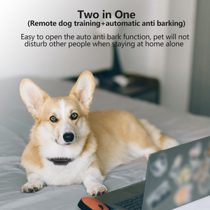 Collier anti-aboiement électronique populaire pour l'entraînement des chiens, rechargeable et étanche, pour chiens domestiques - Product Image 6