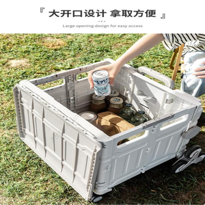 Carrito de Compras Plegable Portátil de Plástico con 4 Ruedas, Colorido, para Camping, Marca Proins, Venta al Por Mayor - Product Image 5