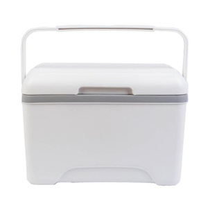 <span class=keywords><strong>Goodwin</strong></span> 2023 Nuevo Producto, Nevera Portátil Moderna de 30L para Camping, Refrigerador, Incubadora, con Asa, Impermeable, Material PP, Diseño con Letras - Product Image 2