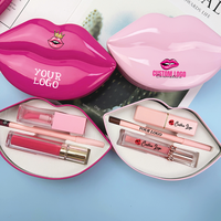 Vente en gros de gloss à lèvres liquides mats et pailletés à haute pigmentation, longue tenue, imperméables, avec crayon à lèvres, ensembles de maquillage en cadeau