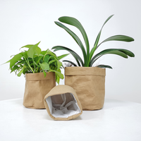 Sac en papier kraft lavable à prix avantageux pour la plantation de fleurs à domicile