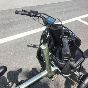 Triciclo Eléctrico de 3 Ruedas con Motor Central de 48v 250w para Personas Mayores/Discapacitadas, Carrocería Abierta, Cuadro de Aleación, 25KM/H, 9 Velocidades, <span class=keywords><strong>Desviador</strong></span> Hidráulico - Product Image 2