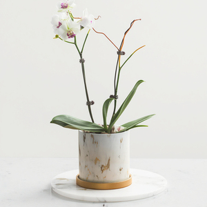 Maceta de orquídeas y mariposa nórdica, de cerámica, sencilla, especial, de lujo, pequeña, <span class=keywords><strong>con</strong></span> bandeja - Product Image 1