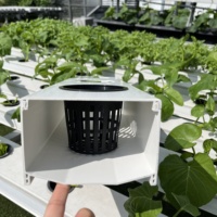 Système de canal hydroponique NFT personnalisé avec longueur de trou de 150x100 mm pour la culture de tomates et de concombres