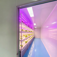 Conteneur de culture de légumes à feuilles en acier modulaire de grande taille, système de culture hydroponique intelligent DWC multi-espaces