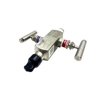 โรสเมาท์ 0306RT22AA11 ชุดท่อร่วมแบบอินไลน์สองทาง รุ่น 306 ทำจากสแตนเลส 316 สำหรับโรสเมาท์ 3051 - Product Image 6