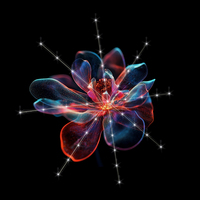 Écran d'affichage publicitaire de ventilateur de projecteur holographique haute luminosité avec ventilateurs 3d avec synchronisation de données en temps réel pour centre commercial KTV