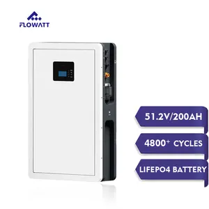 Flowatt Brand Factory Direct Supply 200AH 51.2V 10.2 KWH Solar Energy Storage Battery