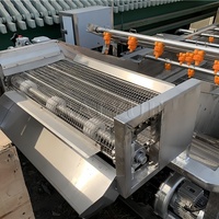 Appel- en peerreinigingsmachine met bubbels, groente- en fruitdroogmachine met bubbels